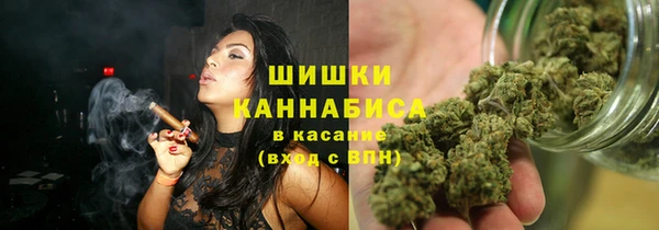 амф Краснослободск