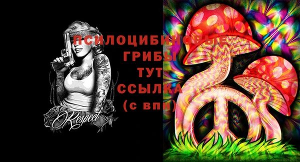 амф Краснослободск
