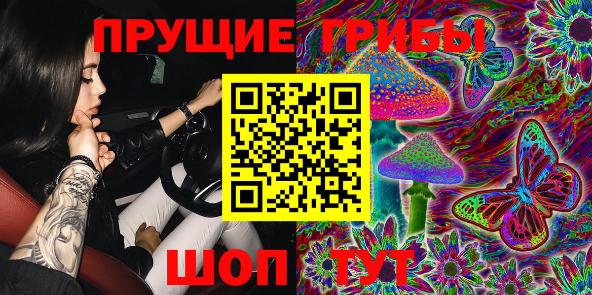 Галлюциногенные грибы Psilocybe  Вход с VPN  Первоуральск  Псилоцибиновые грибы GOLDEN TEACHER 