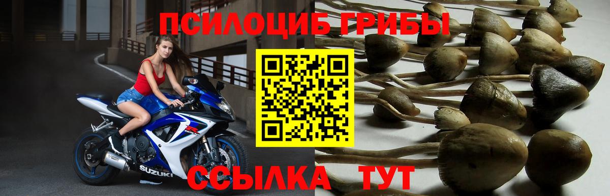 Галлюциногенные грибы MAGIC MUSHROOMS Первоуральск